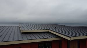 Best Emergency Roof Repair Services  in Southwest Sandhill, TX